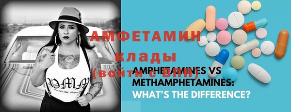 шишки Алексин