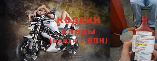 шишки Алексин